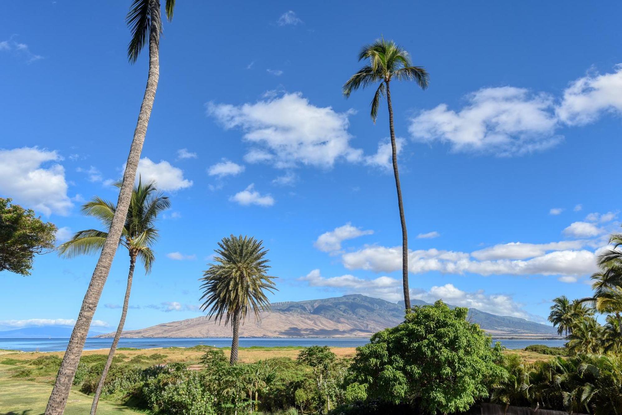 Willa Kauhale Makai Kihei Pokój zdjęcie
